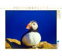 CALVENDO Puzzle Papageitaucher 1000 Teile Puzzle quer 1000 Pieces 64 x 48 cm from Carola Vahldiek