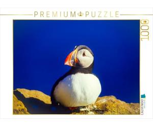 CALVENDO Puzzle Papageitaucher 1000 Teile Puzzle quer 1000 Pieces 64 x 48 cm from Carola Vahldiek