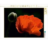 CALVENDO Puzzle Papaver 1000 Pieces 64 x 48 cm from Hans Pfleger