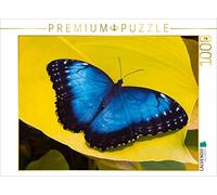 CALVENDO Puzzle Papillon Ciel Morpho peleides 1000 Pieces 64 x 48 cm from Frank Taeger