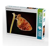 CALVENDO Puzzle Papillon Nacre de Mûre (Brenthis Daphne) 1000 pièces Taille de la Pose 64 x 48 cm Photo Puzzle Image de Steffen Schellhorn