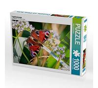 CALVENDO Puzzle Papillon Paon 1000 Pieces 64 x 48 cm from Dany´s Blickwinkel