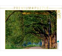 CALVENDO Puzzle Avenue des peupliers sur l'île du Parc 1000 Pieces 64 x 48 cm from Thomas Seethaler