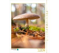 CALVENDO Puzzle Parasol mushroom and lizard | 1000 pieces, finished size 25.2 ×