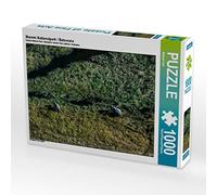 CALVENDO Puzzle Parc National de Moremi/Botswana 1000 Pieces 64 x 48 cm from Michael Voß