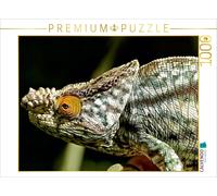 CALVENDO Puzzle Parsons Chamäleon 1000 Teile Puzzle quer | 1000 Teile Lege-Größe