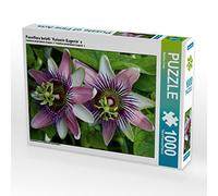 CALVENDO Puzzle Passiflora belotii 'Empress Eugenie' x 1000 Pieces 64 x 48 cm from Martina Cross