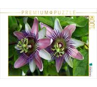 CALVENDO Puzzle Passiflora belotii 'Kaiserin Eugenie' x | 1000 pieces, finished