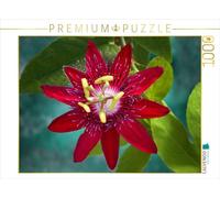 CALVENDO Puzzle Passiflora Lady Margaret 1000 Pieces 64 x 48 cm from Martina Cross