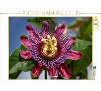 CALVENDO Puzzle Passiflora - Passiflore 1000 Pieces 64 x 48 cm from Martina Cross