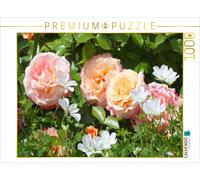 CALVENDO Puzzle Pastel-colored roses | 1000 pieces, finished size 25.2 × 18.9 in