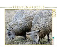 CALVENDO Puzzle Pâturage des Moutons 1000 Pieces 64 x 48 cm from Martina Cross