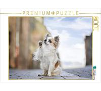 CALVENDO Puzzle Paul (Chihuahua) 1000 Pieces 64 x 48 cm from Christine Hemlep
