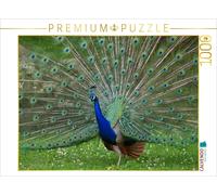 CALVENDO Puzzle Peacock Dance | 1000 pieces, finished size 25.2 × 18.9 in (64 ×