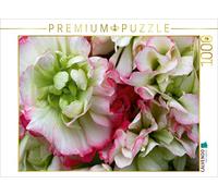 CALVENDO Puzzle Pelargonium Bouton de Rose Fleurs de Pommier 1000 Pieces 64 x 48 cm from Martina Cross