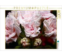 CALVENDO Puzzle Pelargonium Millfield Rose 1000 Pieces 64 x 48 cm from Martina Cross