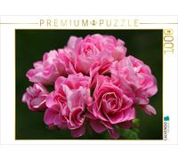 CALVENDO Puzzle Pelargonium Träume | 1000 Teile Lege-Größe 64 × 48 cm Foto-Puzzl