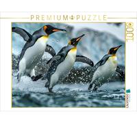 CALVENDO Puzzle Penguin ballet | 1000 pieces, finished size 25.2 × 18.9 in (64 ×
