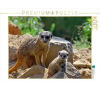 CALVENDO Puzzle Pépinière de suricates 1000 Pieces 64 x 48 cm from Ingo Laue