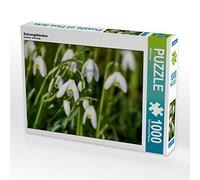 CALVENDO Puzzle Perce-Neige 1000 Pieces 64 x 48 cm from Elke Krone
