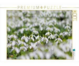 CALVENDO Puzzle Perce-Neige 1000 Pieces 64 x 48 cm from PuraVida