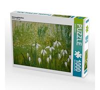 CALVENDO Puzzle Perce-Neige 1000 Pieces 64 x 48 cm from Sabine Diedrich