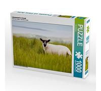CALVENDO Puzzle Période d'agnelage en Irlande 1000 Pieces 64 x 48 cm from Lain Jackson