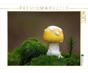 CALVENDO Puzzle Perle Jaune Narcisse 1000 Pieces 64 x 48 cm from Beate Wurster