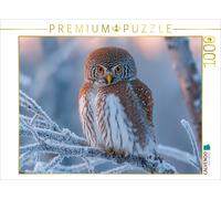 CALVENDO Puzzle Perlkauz - kleine Eule im eisigen Winter | 1000 Teile Lege-Größe