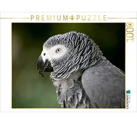 CALVENDO Puzzle Perroquet Gris 1000 Pieces 64 x 48 cm from Martina Berg