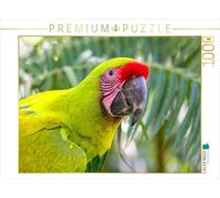CALVENDO Puzzle Perroquets au Costa Rica 1000 Pieces 64 x 48 cm from Andreas Kretschmar