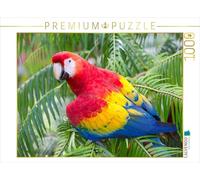 CALVENDO Puzzle Perroquets au Costa Rica 1000 Pieces 64 x 48 cm from Andreas Kretschmar