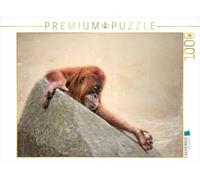 CALVENDO Puzzle Petit Orang-outan 1000 Pieces 64 x 48 cm from Heike Hultsch
