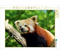 CALVENDO Puzzle Petit Panda en Voyage de découverte 1000 Pieces 64 x 48 cm from Peter Hebgen