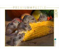 CALVENDO Puzzle Petit Rongeur - Souris 1000 Pieces 64 x 48 cm from Peter Roder