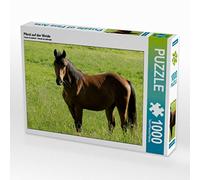 CALVENDO Puzzle Pferd Auf der Weide 1000 Teile Puzzle quer 1000 Pieces 64 x 48 cm from Sabine Löwer