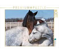 CALVENDO Puzzle Pferde - kraftvolle Eleganz 1000 Teile Puzzle quer 1000 Pieces 64 x 48 cm from Liselotte Brunner-Klaus