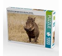 CALVENDO Puzzle phacochère, Ngorongoro Conservation Area, Tanzanie 1000 pièces, Taille de la Ponte, 64 x 48 cm, Photo Puzzle Image par Krueger Photography