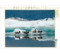 CALVENDO Puzzle Phoques à Jökulsarlon 1000 Pieces 64 x 48 cm from Frauke Scholz