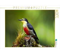 CALVENDO Puzzle Pic à Front Jaune (Melanerpes flavifrons) 1000 Pieces 64 x 48 cm from Armin Brockner