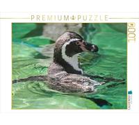 CALVENDO Puzzle Pingouin de Humboldt 1000 Pieces 64 x 48 cm from Michael Weirauch