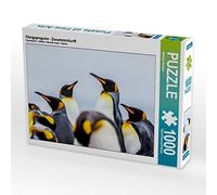CALVENDO Puzzle Pingouins royaux - Rassemblement 1000 Pieces 64 x 48 cm from Michael Altmaier