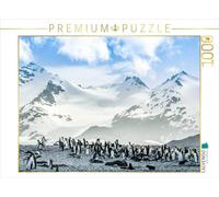 CALVENDO Puzzle Pinguin Kolonie im Naturparadies Antarktis 1000 Teile Puzzle quer 1000 Pieces 64 x 48 cm from Max Steinwald