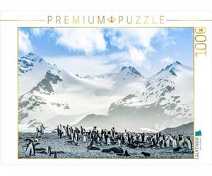 CALVENDO Puzzle Pinguin Kolonie im Naturparadies Antarktis 1000 Teile Puzzle quer 1000 Pieces 64 x 48 cm from Max Steinwald