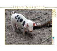 CALVENDO Puzzle Pink Piglet | 1000 pieces, finished size 25.2 × 18.9 in (64 × 48