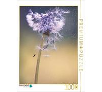 CALVENDO Puzzle Pissenlit 1000 Pieces 48 x 64 cm from by Kathleen