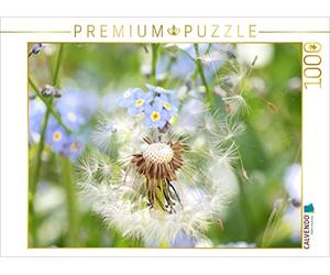 CALVENDO Puzzle Pissenlit avec Myosotis 1000 Pieces 64 x 48 cm from Gisela Kruse