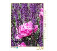 CALVENDO Puzzle Pivoine Rose 1000 Pieces 48 x 64 cm from Gisela Kruse