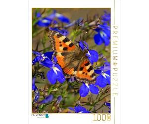 CALVENDO Puzzle Planificateur de Vacances 2017 1000 Pieces 48 x 64 cm from Peter Hebgen