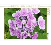 CALVENDO Puzzle Plaque Hydrangea 'You and Me Romance 1000 Pieces 64 x 48 cm from Gisela Kruse